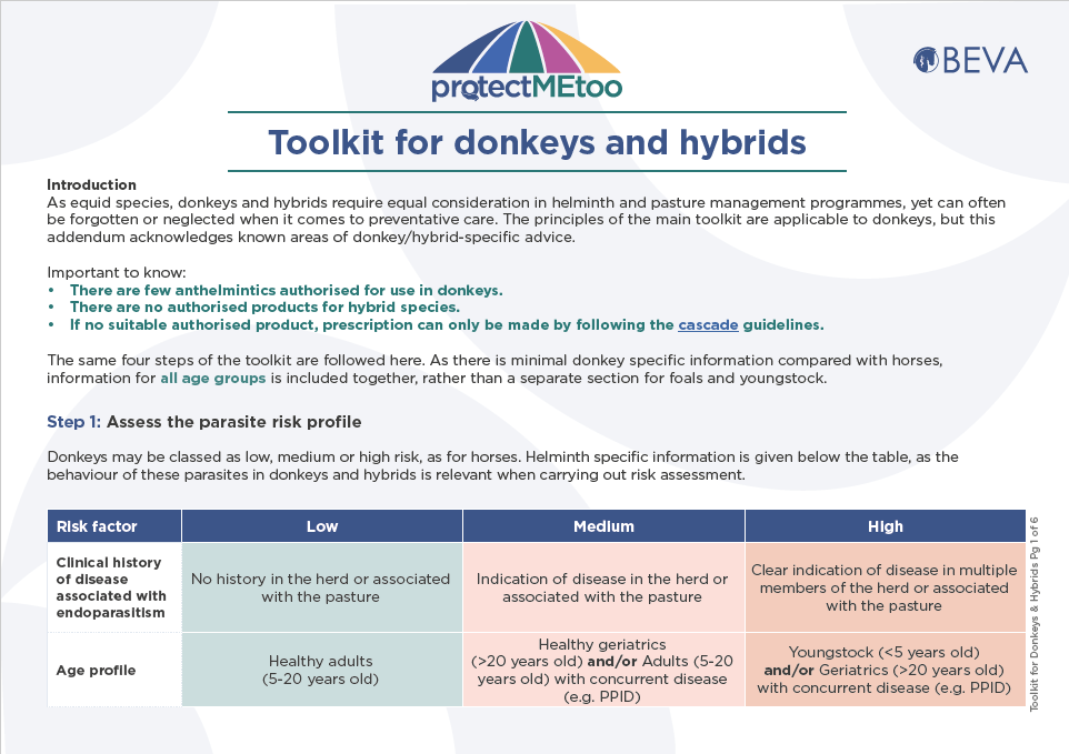Donkeys and hybrids